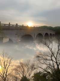 來昆山不得不打卡的城市生態森林公園，讓我們和大自然親密接觸