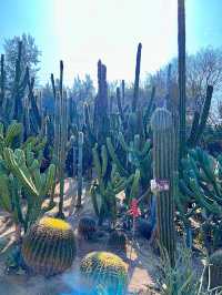 廈門植物園 | 雨林世界活化石