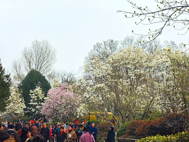 這座只有濟南人才知道的公園，藏著無數的春和景明