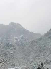 蒼山負雪，明燭天南