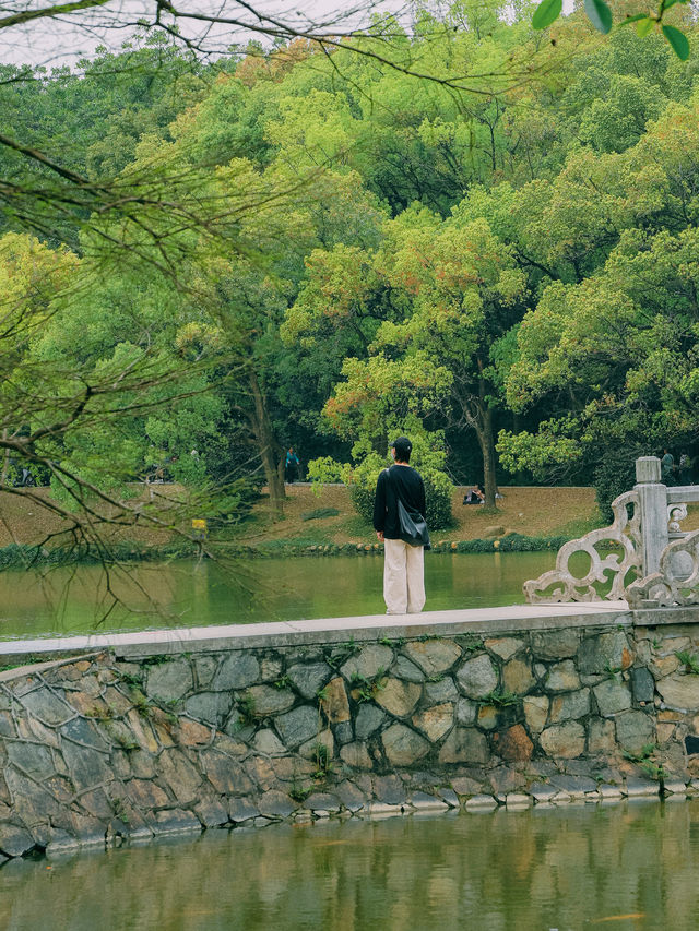 植物園 | 鏡頭下的春和景明