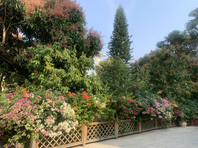芒市的春天，實在是很輕鬆
