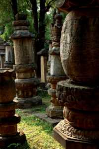 唐宋元明清，石塔博物館|靈巖寺墓塔林（965）