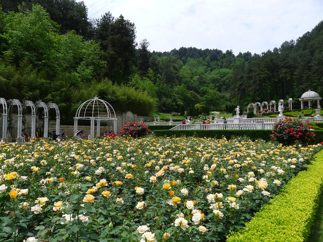 森林休閒勝地——貴陽登高雲山森林公園