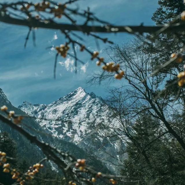 甲石口沟|成都出發一天可來回的徒步秘境