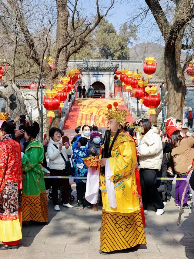 今年はここ、紅螺寺に来てみてください！祈りを捧げることもできますし、お祭りも楽しむことができます！