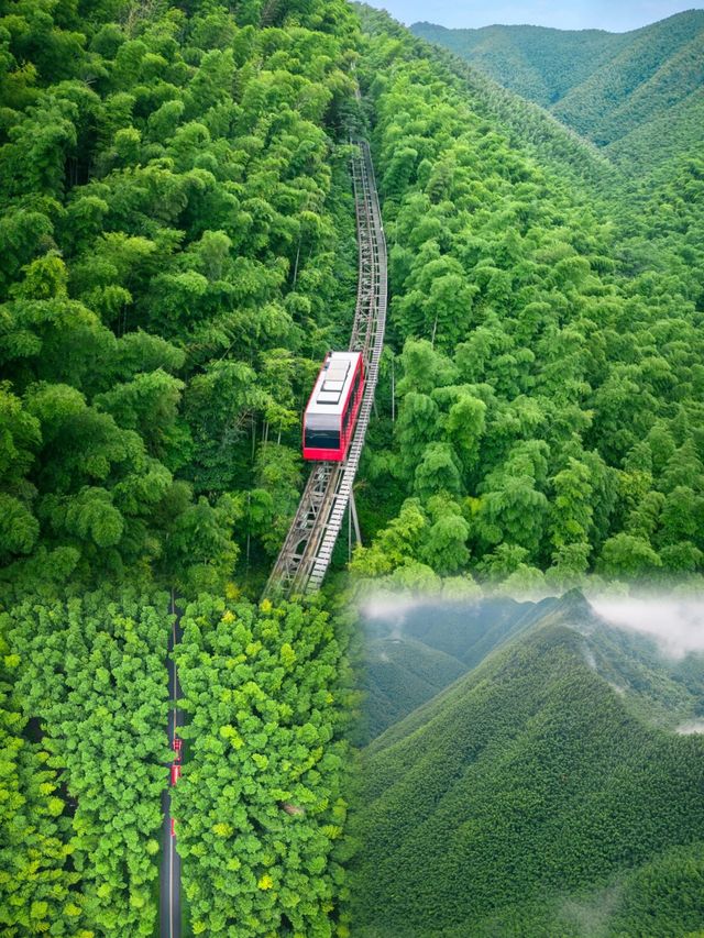 寫給第一次來溧陽的你！溧陽旅遊全攻略必藏