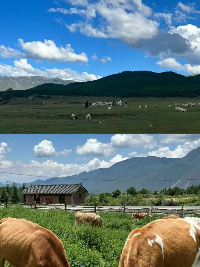 At the foot of the Jade Dragon Snow Mountain lies a hidden village