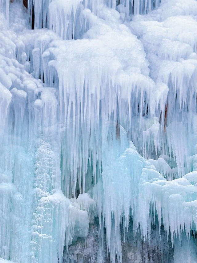 救命！是全西安人都去這裡看雪了嗎？周末去哪兒？