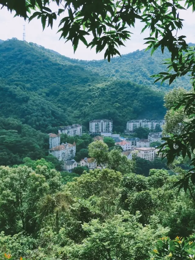 深圳城市秘境解鎖！銀湖山郊野徑公園探險指南