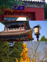 南山大佛親測詳遊攻略，靜心祈福好運常在