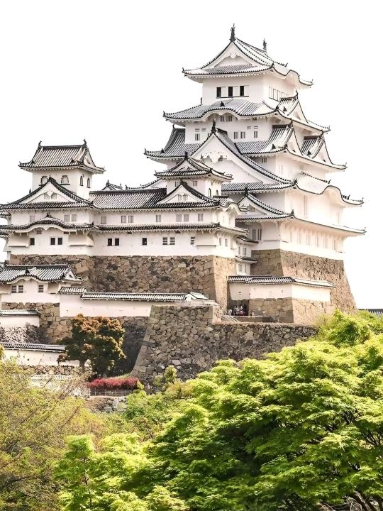 Blossoms at Himeji Castle Osaka🌸❤️🇯🇵