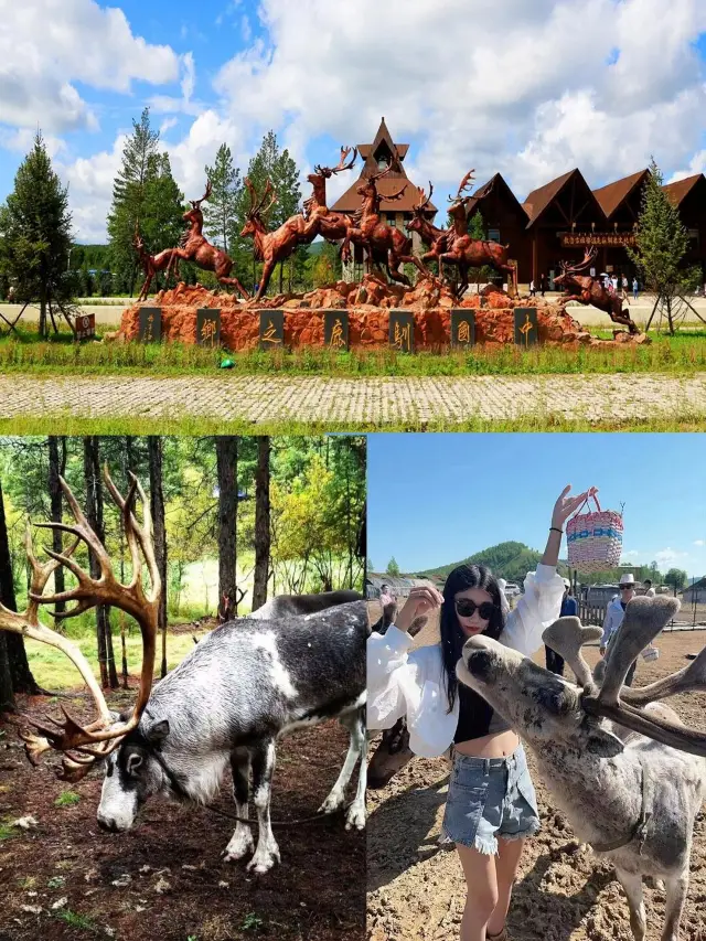 Here I come, Hulunbuir Grassland~ Hulunbuir travel guide