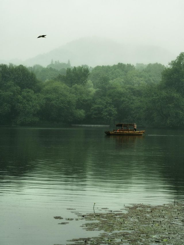 杭州一下雨，我就往這跑