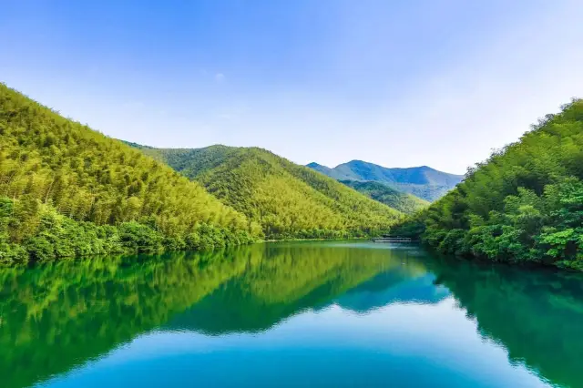 南山竹海之旅