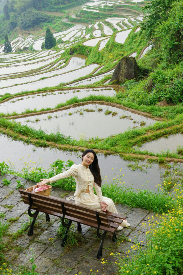 五一出遊好去處麗水雲和梯田