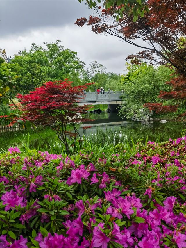 上海老姐姐的拍照聖地——申園