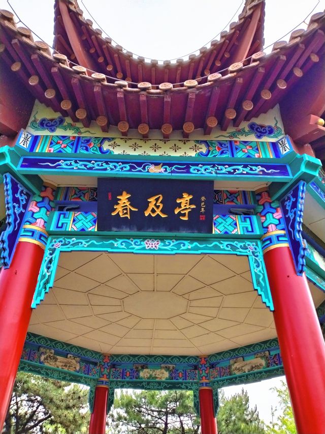 園博園 春及園