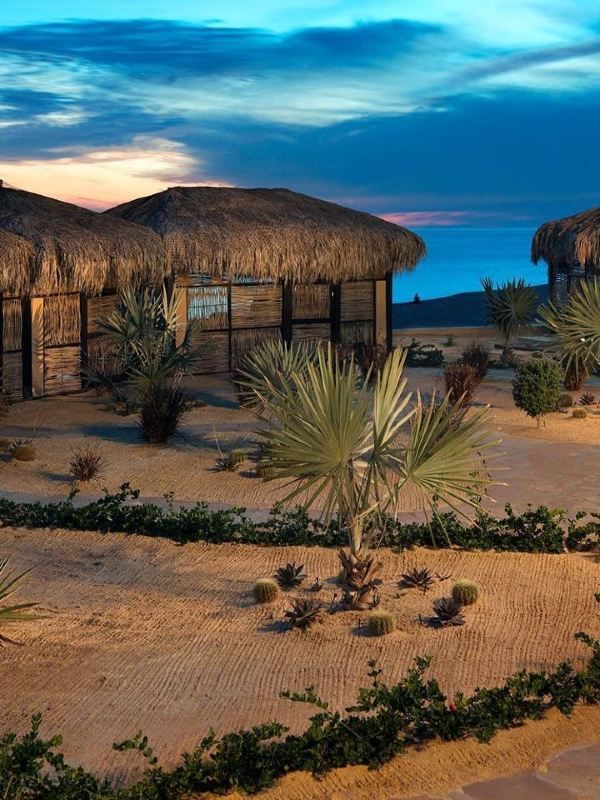 Cabo's Luxe Escape: Grand Solmar Resort 🌴✨