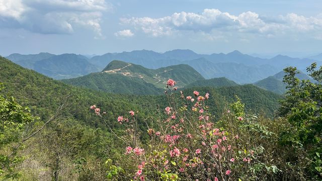 初夏徒步，登頂富陽第一高峰杏梅尖