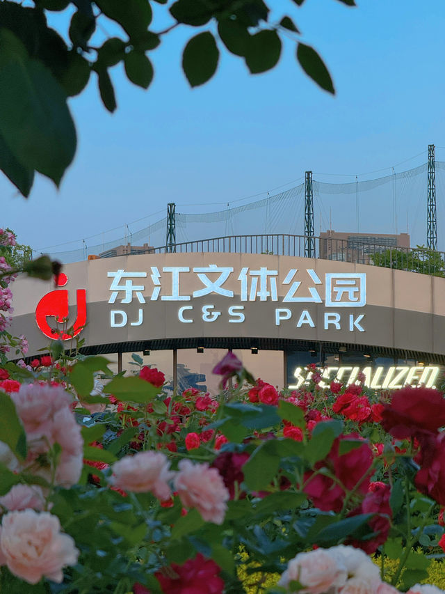 傍晚的南棧濱江綠道超有電影感