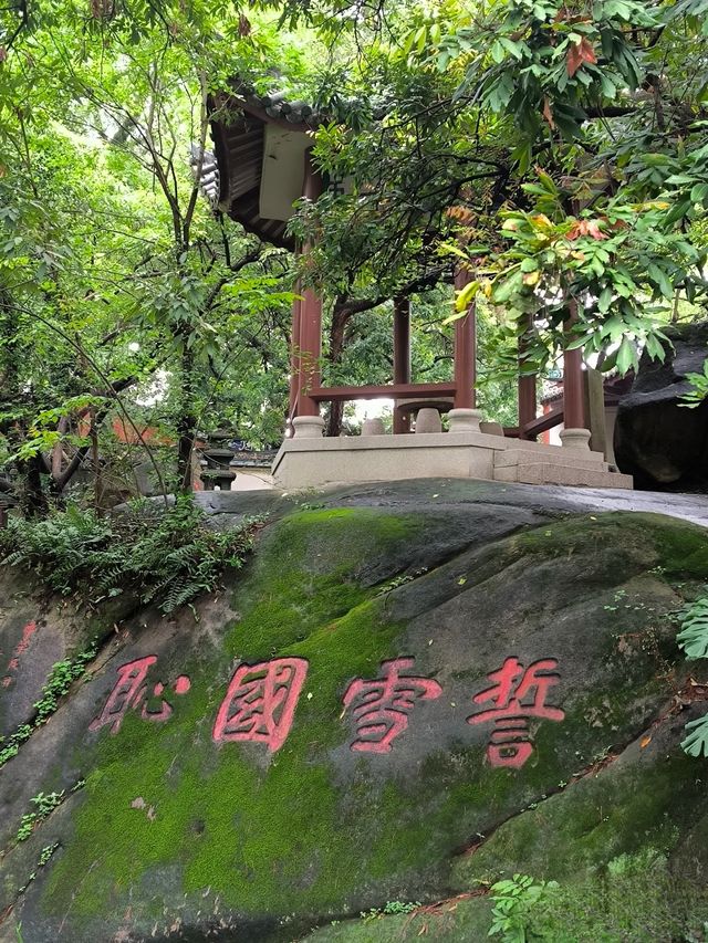 於山｜藏於鬧市中～獨守一方靜