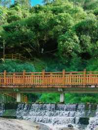 夏日避暑勝地：廣州白江湖森林公園