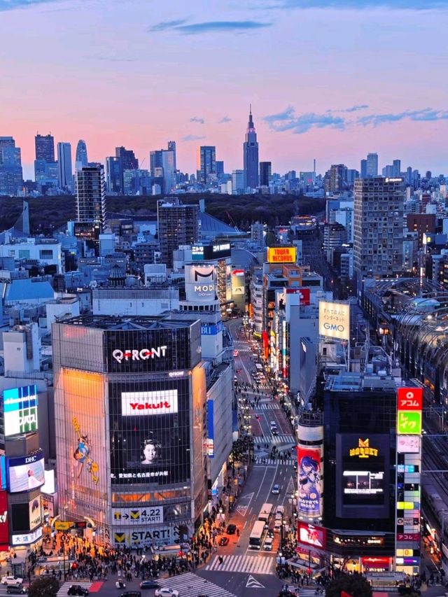 Shibuya Corpse Siege SKY VIEW❤️