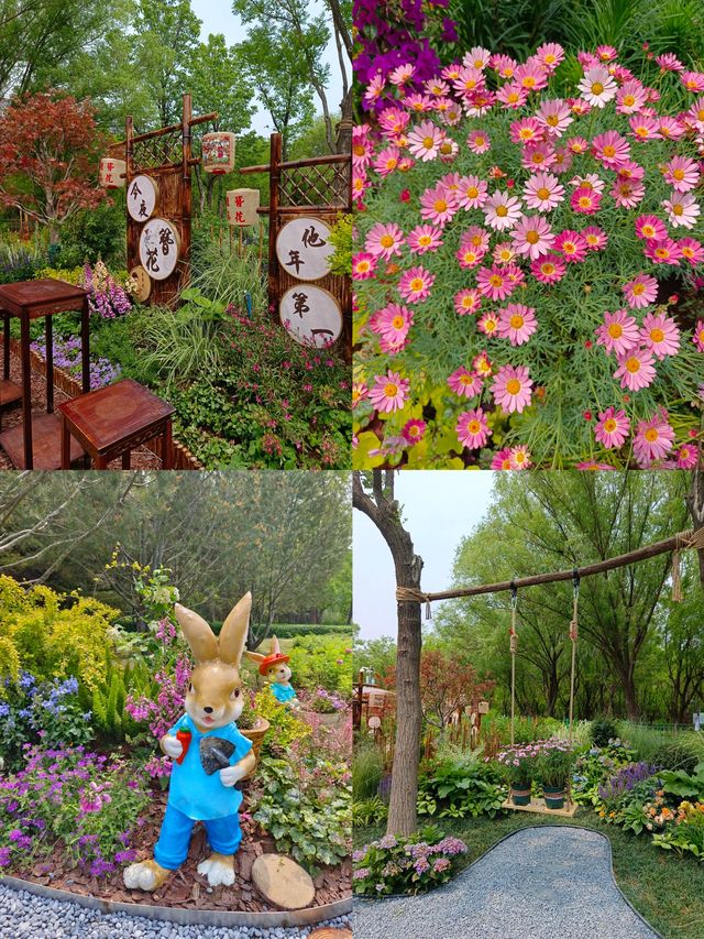 比起西湖，我更愛濟南的「現實版莫奈花園」
