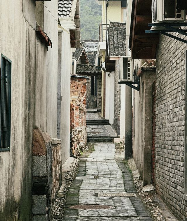 巢湖周邊遊｜山口凌村