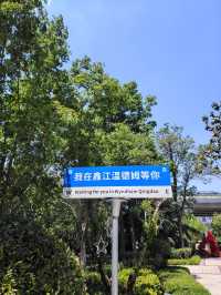 莫奈花園，拍照聖地！！