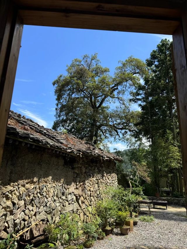 徐岙底古村：溫州十大最美歷史文化古村之一