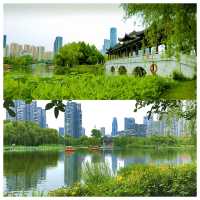 位於市中心城區（二環線內）的“世外桃源”——沙湖公園，賞荷賞景的天花板