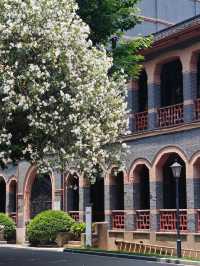 校園比公園還美，華政校園你值得擁有