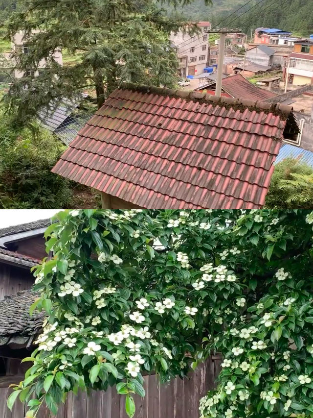 柳州|去融水看玻璃水