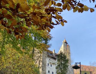 Bran Castle of Dracula the Vampire