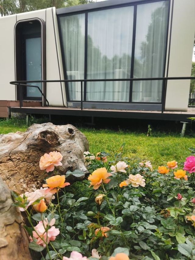 🌟 Xinjiang's Starry Delights & Natural Bliss 🏞️
