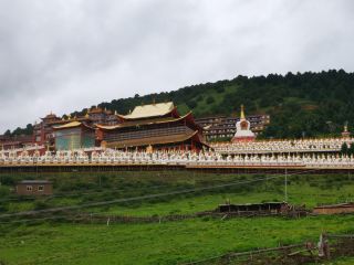 Dajin Temple: Worth a visit