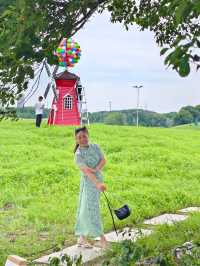 夏日醉美向日葵~蘇州灣體育公園