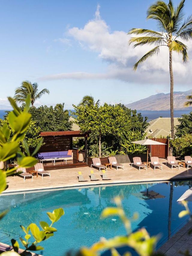 🌴✨ Maui Magic: Top Stay at Hotel Wailea 🌺🏖️