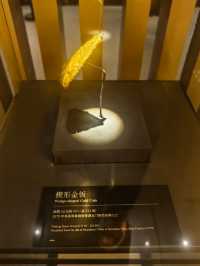 徙都壽春一一安徽楚文化博物館