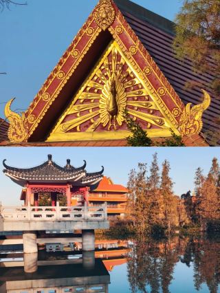 Dongguan Machong! Unexpectedly, there is a national-level wetland park hidden here