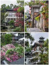 深圳小眾徒步路線，連接公園古鎮的舒適之旅🌳🏘