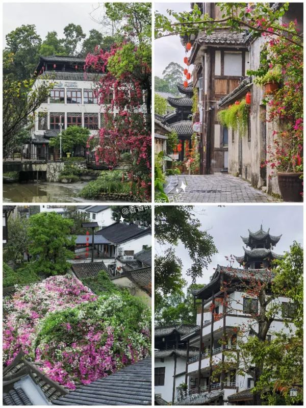 深圳小眾徒步路線，連接公園古鎮的舒適之旅🌳🏘