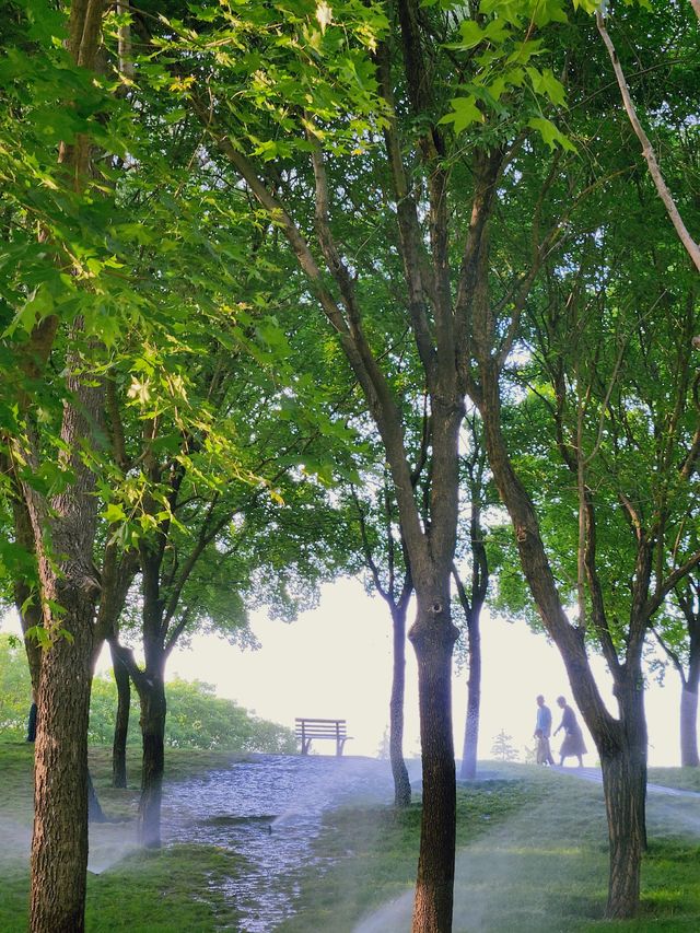 北小河公園居然這麼好拍!每週都想去打卡!! 北小河公園居然這麼好拍!每週都想去打卡!!