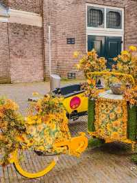 🇳🇱Netherlands Amsterdam Windmill Village + Leisurely City Guide 🏙️