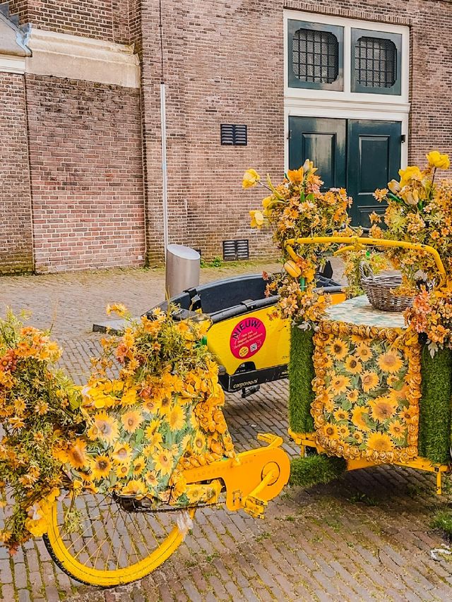 🇳🇱Netherlands Amsterdam Windmill Village + Leisurely City Guide 🏙️