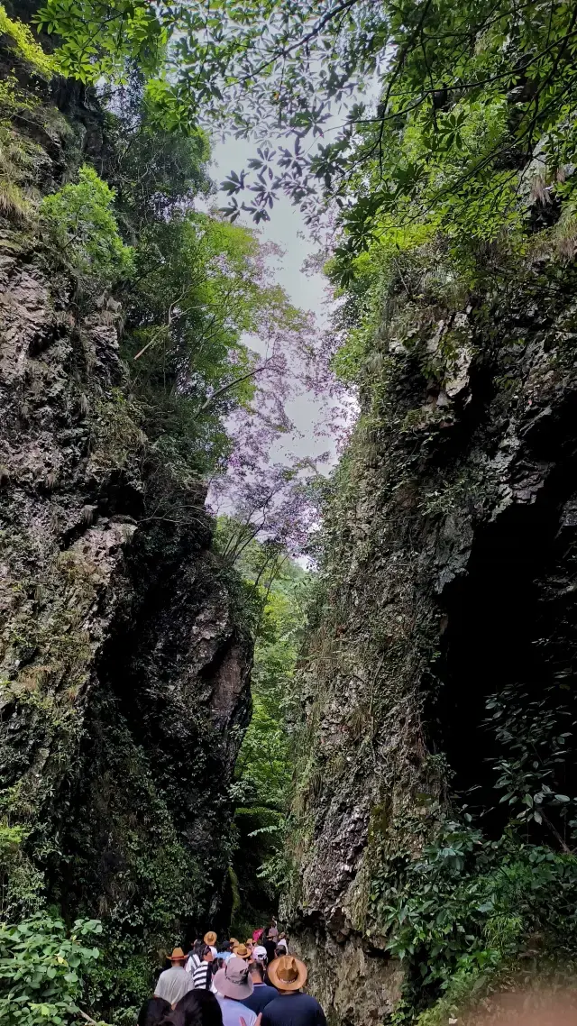 탐미 완남 비경, 은닉 산림 중의 세외도원, 하림 풍경구