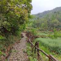 湖北黄石上冯古村｜九古奇村神秘面紗。