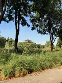 2024.9.15｜絕對不要在下午進入南苑森林濕地公園！